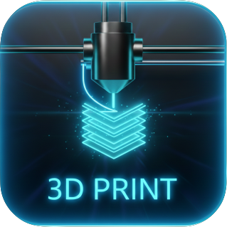 3D Print