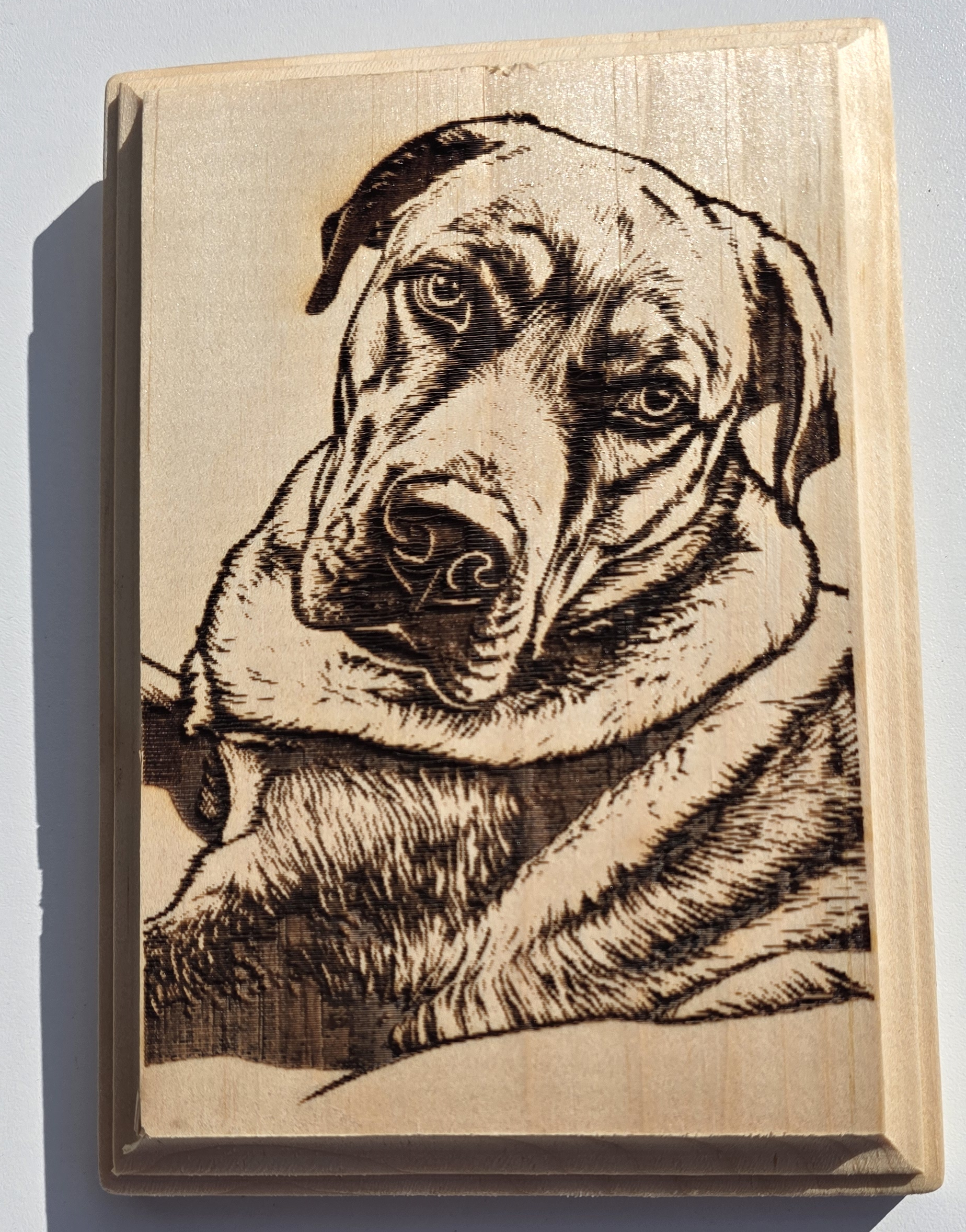 Bling — Photo Forge Woodcut style engraved on real wood